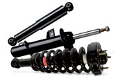 Strut - Shock Absorber